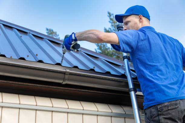 Best Metal Roofing Installation  in Topaz Ranch Estates, NV