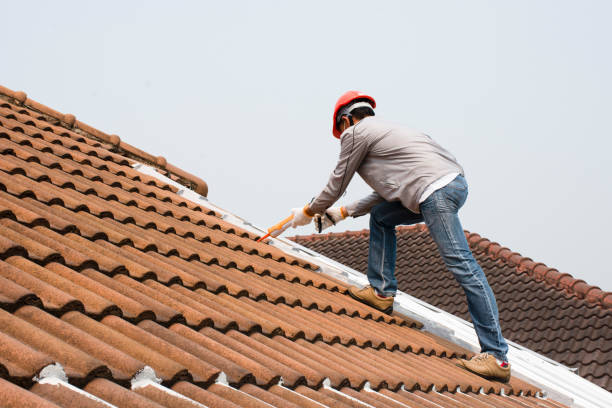Hot Roofs in Topaz Ranch Estates, NV
